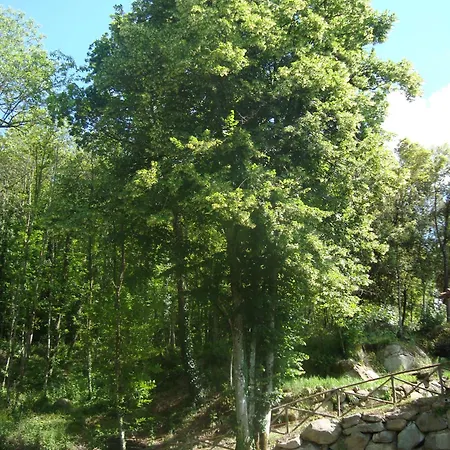 بيت للعطل Tenute Di Hera - Via Francigena أكوابيندينتي